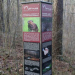 Šilėnų pažintinis takas