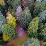 Akmuo Puntuko brolis. Nuotrauka: ©lietuvosgamta.lt