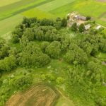 Akmuo Daubos kūlis. Nuotrauka: ©lietuvosgamta.lt