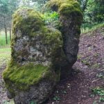 Antakmenės konglomeratas. Nuotrauka: ©lietuvosgamta.lt