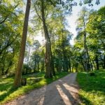 Balbieriškio dvaro parkas. Nuotrauka: ©lietuvosgamta.lt