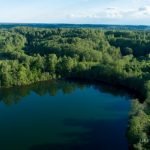 Balčių ąžuolas. Nuotrauka: ©lietuvosgamta.lt