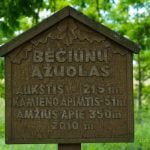 Bėčiūnų ąžuolas. Nuotrauka: ©lietuvosgamta.lt