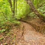 Bražuolės piliakalnis