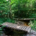 Čiobiškio urvas. Nuotrauka: ©lietuvosgamta.lt