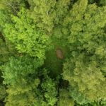 Didysis Jomantų akmuo. Nuotrauka: ©lietuvosgamta.lt