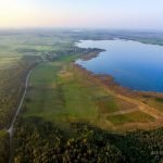 Drevėtasis Širvinto ąžuolas. Nuotrauka: ©lietuvosgamta.lt