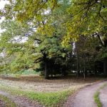 Dubravos arboretumas. Nuotrauka: ©lietuvosgamta.lt