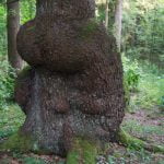 Eglė Boba. Nuotrauka: ©lietuvosgamta.lt