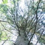 Eglė Boba. Nuotrauka: ©lietuvosgamta.lt