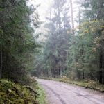 Gastilionių gūbrys. Nuotrauka: ©lietuvosgamta.lt