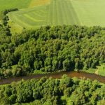 Dovilų piliakalnis. Nuotrauka: ©lietuvosgamta.lt