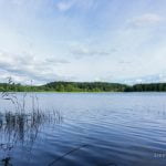 Ilgio ežero sala. Nuotrauka: ©lietuvosgamta.lt