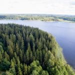 Ilgio ežero sala. Nuotrauka: ©lietuvosgamta.lt