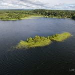 Ilgio ežero sala. Nuotrauka: ©lietuvosgamta.lt