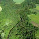 Kačaičių piliakalnis. Nuotrauka: ©lietuvosgamta.lt