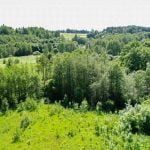 Kalniukų ąžuolas. Nuotrauka: ©lietuvosgamta.lt