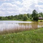 Kaukinės ežeras (Žiedelis). Nuotrauka: ©lietuvosgamta.lt