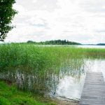 Kreiviškių pusiasalis. Nuotrauka: ©lietuvosgamta.lt