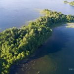 Kreiviškių pusiasalis. Nuotrauka: ©lietuvosgamta.lt