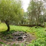 Lygamiškio šaltinis. Nuotrauka: ©lietuvosgamta.lt