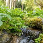 Lygamiškio šaltinis. Nuotrauka: ©lietuvosgamta.lt