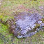 Lygumų akmuo. Nuotrauka: ©lietuvosgamta.lt