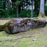 Lygumų akmuo. Nuotrauka: ©lietuvosgamta.lt