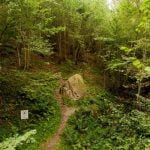 Akmenys Mokas ir Mokiukas. Nuotrauka: ©lietuvosgamta.lt