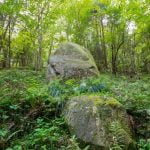 Akmenys Mokas ir Mokiukas. Nuotrauka: ©lietuvosgamta.lt