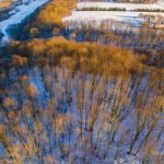 Narkūnų piliakalnio antras priešpilis. Nuotrauka: ©lietuvosgamta.lt