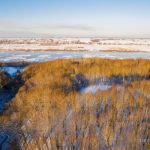 Narkūnų piliakalnis. Nuotrauka: ©lietuvosgamta.lt