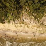 Olandų kepurės skardis. Nuotrauka: ©lietuvosgamta.lt