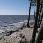 Olandų kepurės skardis. Nuotrauka: ©lietuvosgamta.lt