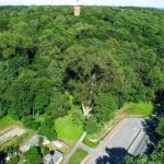 Raudonės juodoji tuopa. Nuotrauka: ©lietuvosgamta.lt