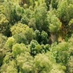 Riklikų šaltinis. Nuotrauka: ©lietuvosgamta.lt