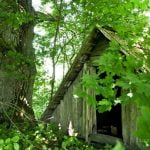 Rudaičių ąžuolas. Nuotrauka: ©lietuvosgamta.lt