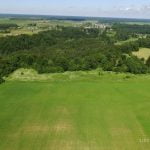 Rudaičių ąžuolas. Nuotrauka: ©lietuvosgamta.lt