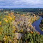 Šaltinis „Karalienės liūnas“. Nuotrauka: ©lietuvosgamta.lt