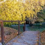 Šeškinės ozas. Nuotrauka: ©lietuvosgamta.lt