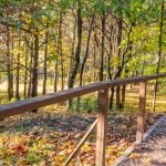 Šeškinės ozas. Nuotrauka: ©lietuvosgamta.lt