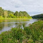 Siuvėjo rėva. Nuotrauka: ©lietuvosgamta.lt