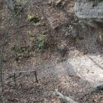 Skališkių uola. Nuotrauka: ©lietuvosgamta.lt