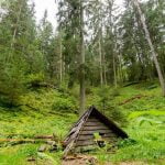 Balbieriškio dvaro parkas. Nuotrauka: ©lietuvosgamta.lt