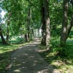 Vainežerio dvaro parkas. Nuotrauka: ©lietuvosgamta.lt