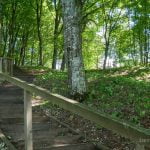 Vainežerio dvaro parkas. Nuotrauka: ©lietuvosgamta.lt