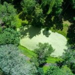 Veisiejų dvaro parkas. Nuotrauka: ©lietuvosgamta.lt