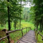 Velnio duobė. Nuotrauka: ©lietuvosgamta.lt