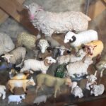 Avinukų ekspozicija Milišiūnų avių ūkyje