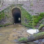 Moterties upelio tunelis